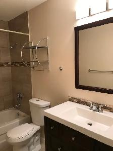 Beautifully Renovated Preston Avenue 3 bedroom Main Floor - Photo 4