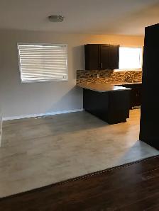 Beautifully Renovated Preston Avenue 3 bedroom Main Floor - Photo 5