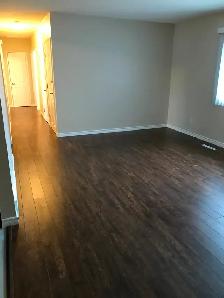 Beautifully Renovated Preston Avenue 3 bedroom Main Floor - Photo 6