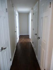 Beautifully Renovated Preston Avenue 3 bedroom Main Floor - Photo 9