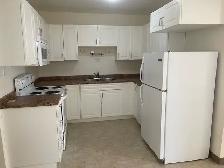 3 Bedroom Duplex in North Park for Rent - Photo 3