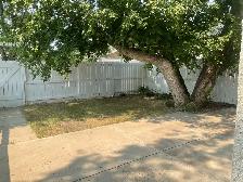 3 Bedroom Duplex in North Park for Rent - Photo 14