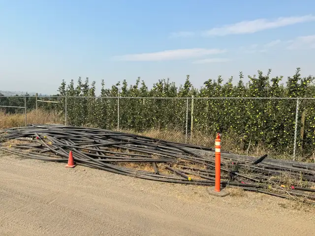 hdpe poly pipe DR11 / 2"