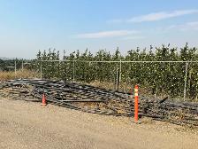 hdpe poly pipe DR11 / 2"