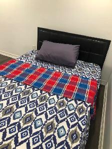 Beautiful and Furnished Basement Room in Scarborough for Rent - Photo 7