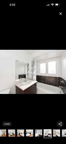 For Lease – 4 Bedroom Semi-Detached House in Brampton - Photo 5