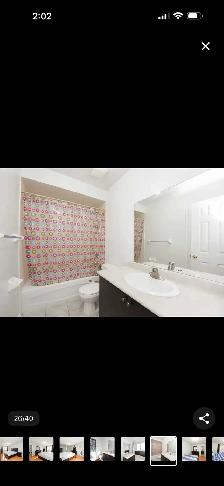For Lease – 4 Bedroom Semi-Detached House in Brampton - Photo 7
