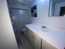 ROOM FOR RENT available September 1st SCARBOROUGH - Photo 7
