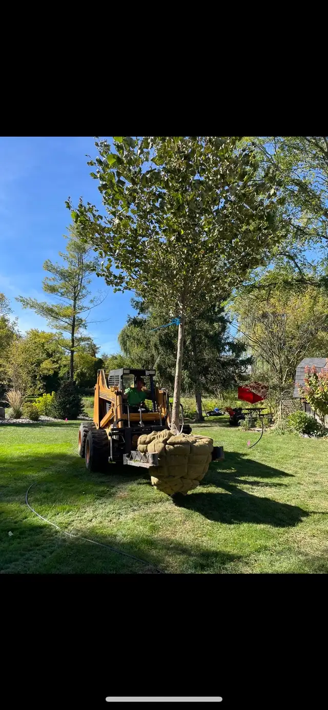 garden centre / Landscape employment