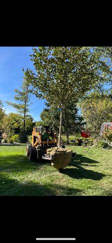 garden centre / Landscape employment