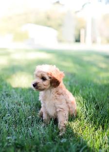 Breeder Photography! - Photo 2