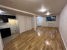 – Grand logement lumineux à Villeray (Rue Fabre, près du métro ) - Photo 4