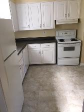 Bright 3 Bdm A/G BSMNT Apt., 5A Simms St, Sept. 1/26 - Photo 4