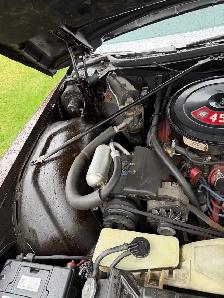 1973 Buick Limited - Photo 3