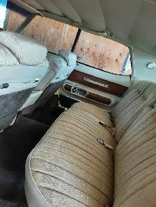 1973 Buick Limited - Photo 8
