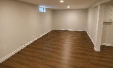 Bachelor Basement Apartment for Rent - Photo 8