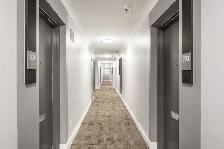 2 Bedroom Apartment for Rent - 1475 Bloor Street - Photo 11