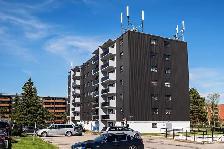 2 Bedroom Apartment for Rent - 1475 Bloor Street - Photo 12