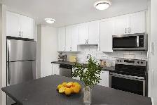2 Bedroom Apartment for Rent - 7280 Darcel Ave - Photo 3