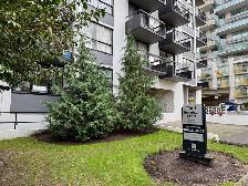 Junior One bedroom Apartment for Rent - 1160 Broughton Street - Photo 13