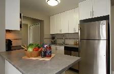 3 Bedroom Apartment for Rent - 9502 Erickson Drive - Photo 3