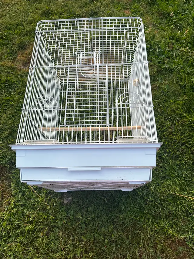 bird cage