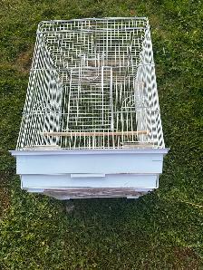 bird cage