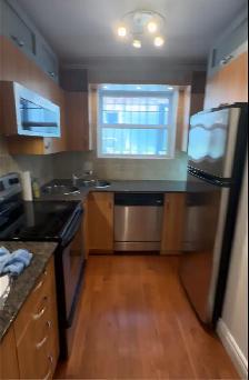 Très propre et ensoleillé 4 1/2 Condo à louer - CDN, UdM, HEC - Photo 4
