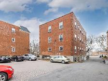 Très propre et ensoleillé 4 1/2 Condo à louer - CDN, UdM, HEC - Photo 7