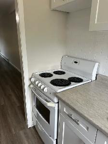 GREAT VALUE FOR 2 BEDROOM TOWNHOME IN NORTH LONDON - Photo 7