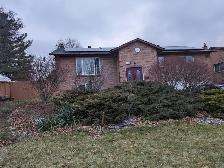 Whitby Room For Rent immediately $800 All Inclusive - Photo 2
