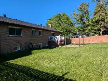 Whitby Room For Rent immediately $800 All Inclusive - Photo 3