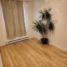 logement 3 chambres-BLVD Assomption - Photo 2