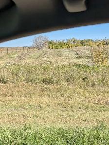 SHARE HAY CROP Yorkton area