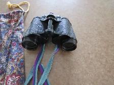 8x40 BINOCULARS