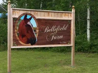 Horse Board - September 1st