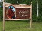 Horse Board - September 1st
