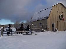 Horse Board - September 1st - Photo 2