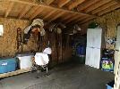 Horse Board - September 1st - Photo 5