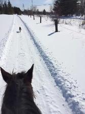 Horse Board - September 1st - Photo 7