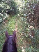 Horse Board - September 1st - Photo 8