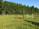 Horse Board - September 1st - Photo 9