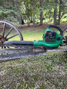 Weedeater Blow Vac BV1850 Leafblower - Photo 2