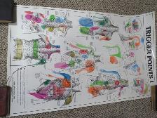 TRIGGER POINT CHART