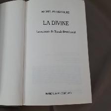 LADIVINE DE SARAH BERNHARDT 569 PAGES DE MICHEL PEYRAMAURE $5.00