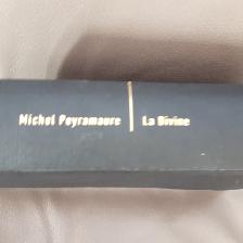 LADIVINE DE SARAH BERNHARDT 569 PAGES DE MICHEL PEYRAMAURE $5.00 - Photo 3