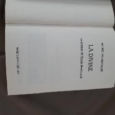 LADIVINE DE SARAH BERNHARDT 569 PAGES DE MICHEL PEYRAMAURE $5.00 - Photo 4