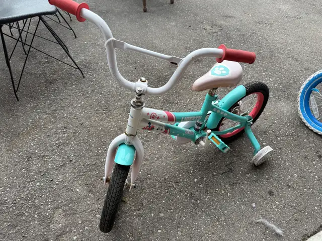 Paw Patrol Liberty Bike