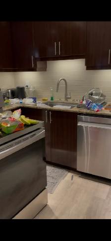 Professional House Cleaning – 2 Sisters Team - Photo 3