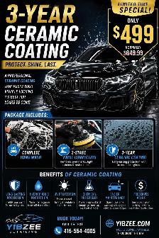 paint correction / ceramic coating